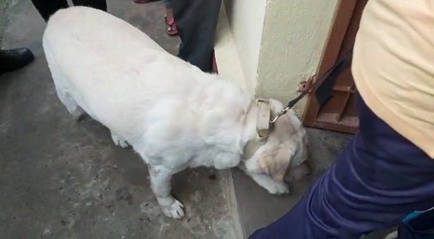 पलामू मर्डर