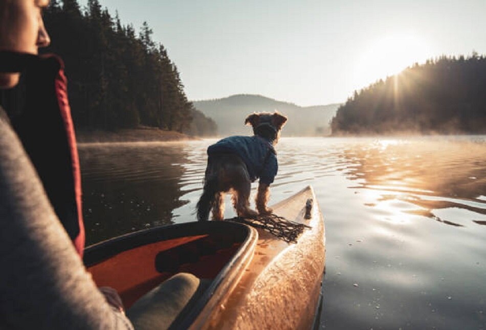 कपल का 2 साल का अनोखा हनीमून