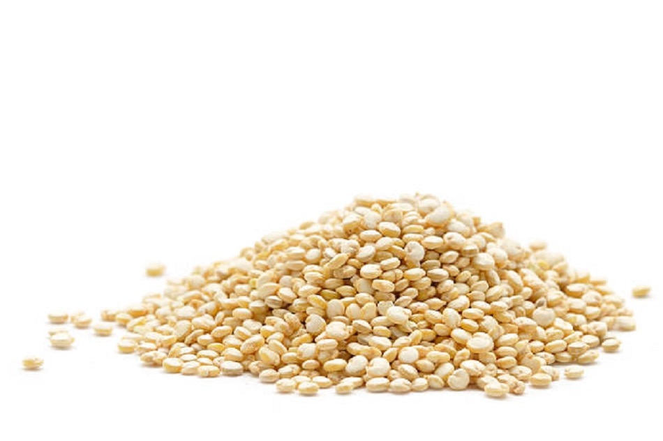 प्रोटीन की कमी पूरा करेंगी ये 10 चीजें