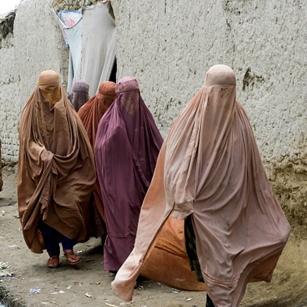 तालिबान