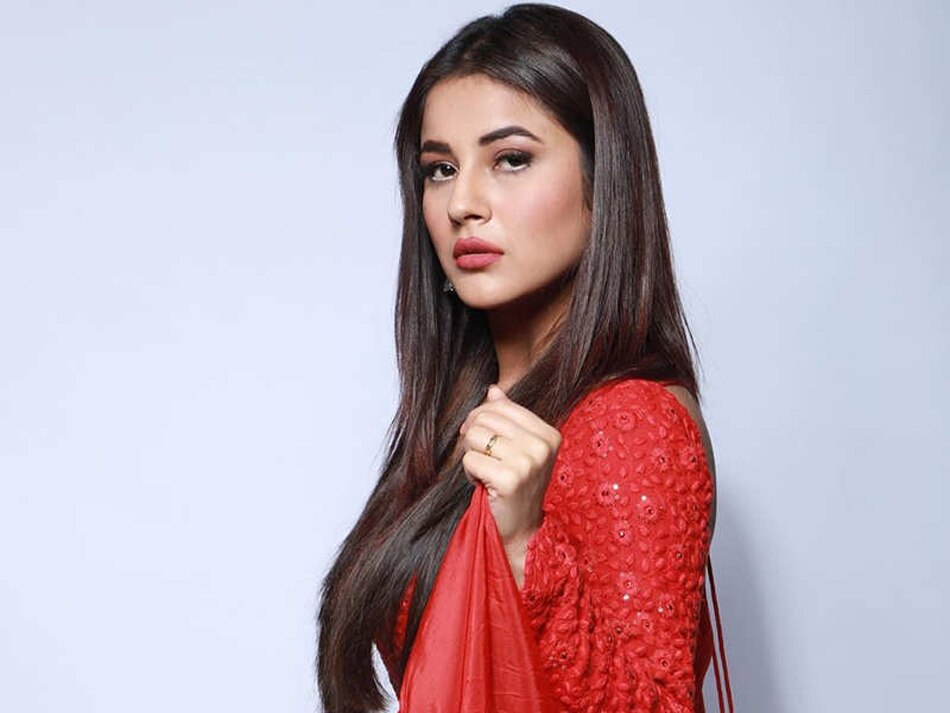 शहनाज गिल