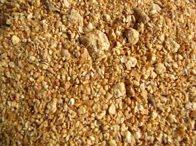 सोया फीड के दाम में उछाल 