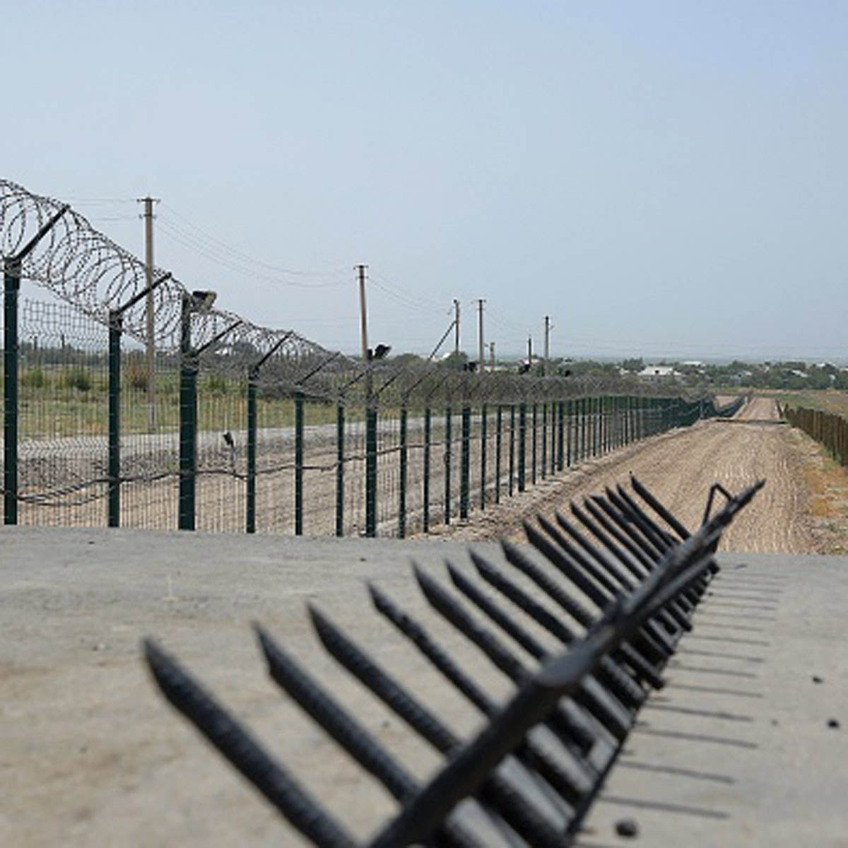 तालिबान