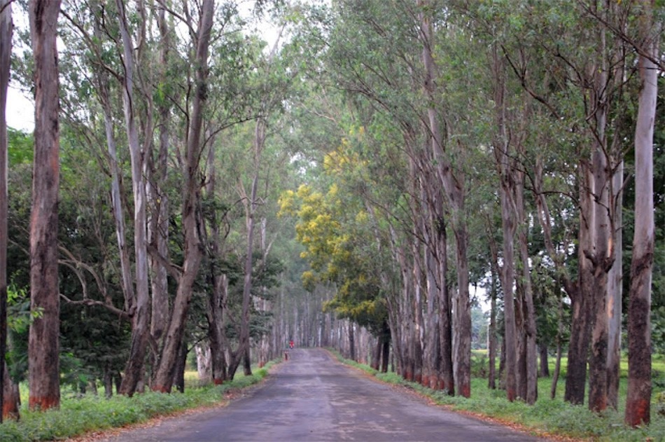 दादरा और नगर हवेली 