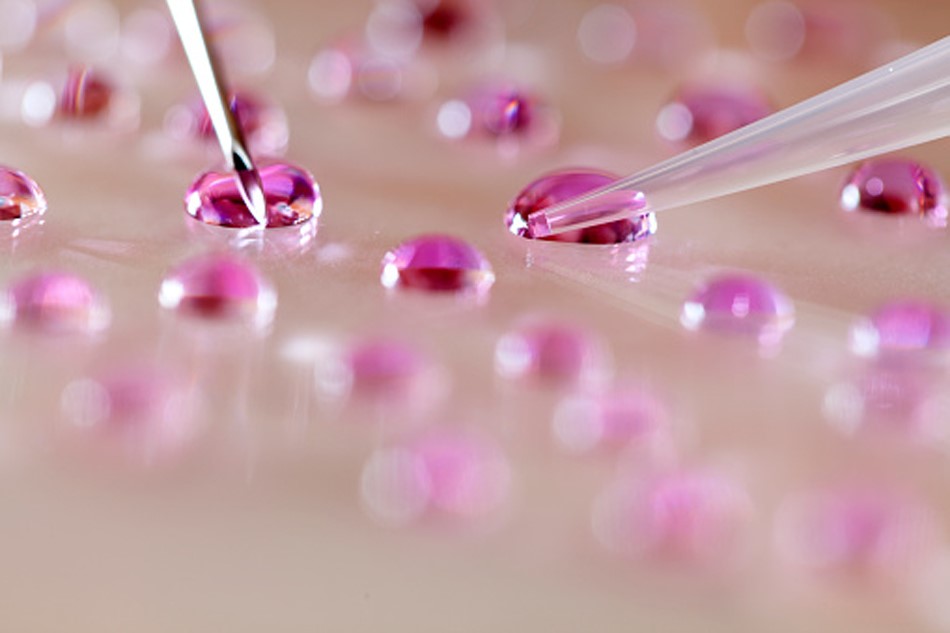 प्रतीकात्मक फोटो (Getty)