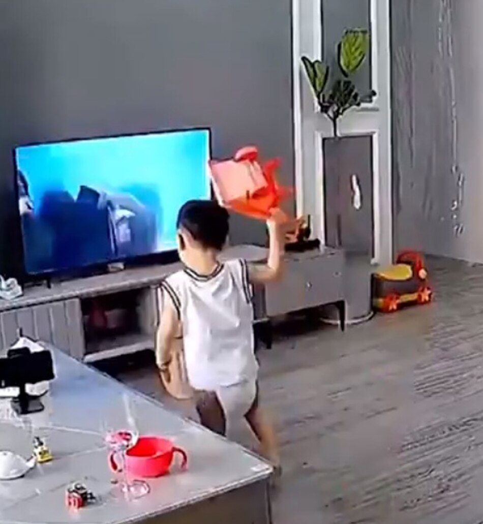 Kid breaks TV