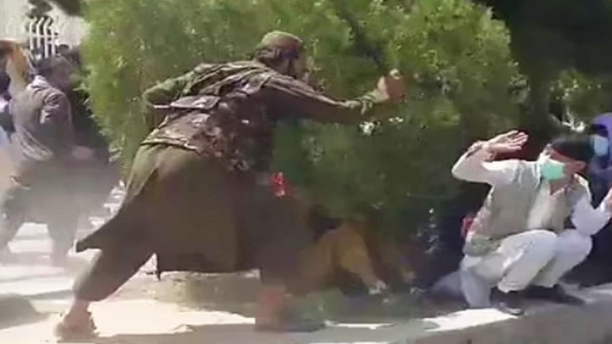 जींस पहनने की सजा! तालिबान ने बीच सड़क युवाओं पर कोड़े बरसाए