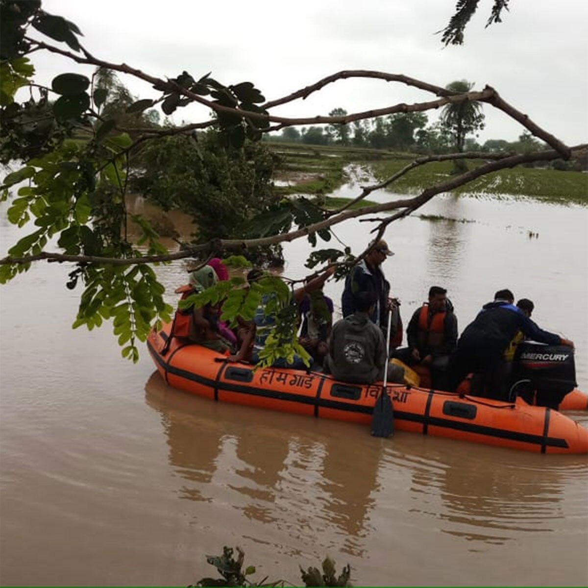 Family sitting on tree for 24 hours