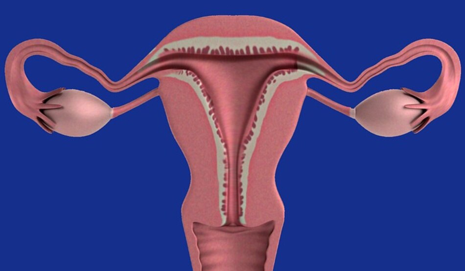 अन्य समस्याएं8