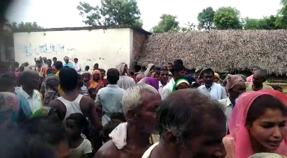 leopard catched by forest department