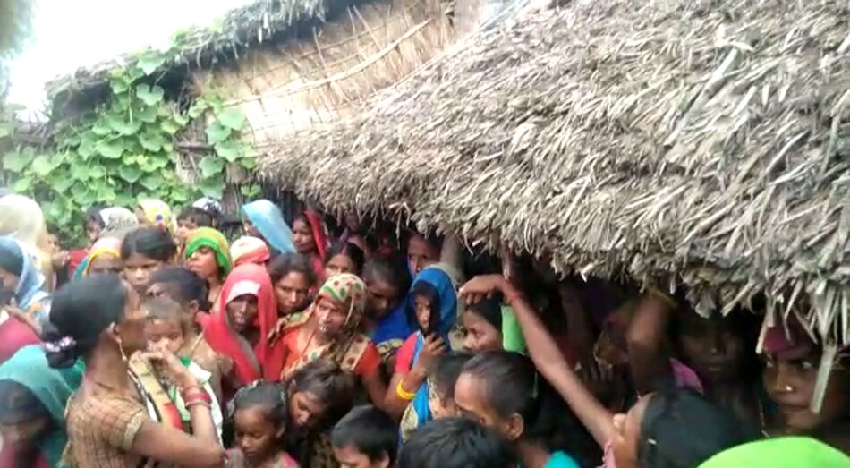 leopard catched by forest department