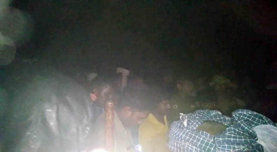 leopard catched by forest department