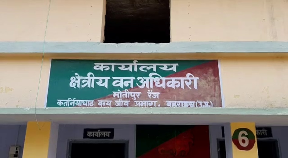 leopard catched by forest department