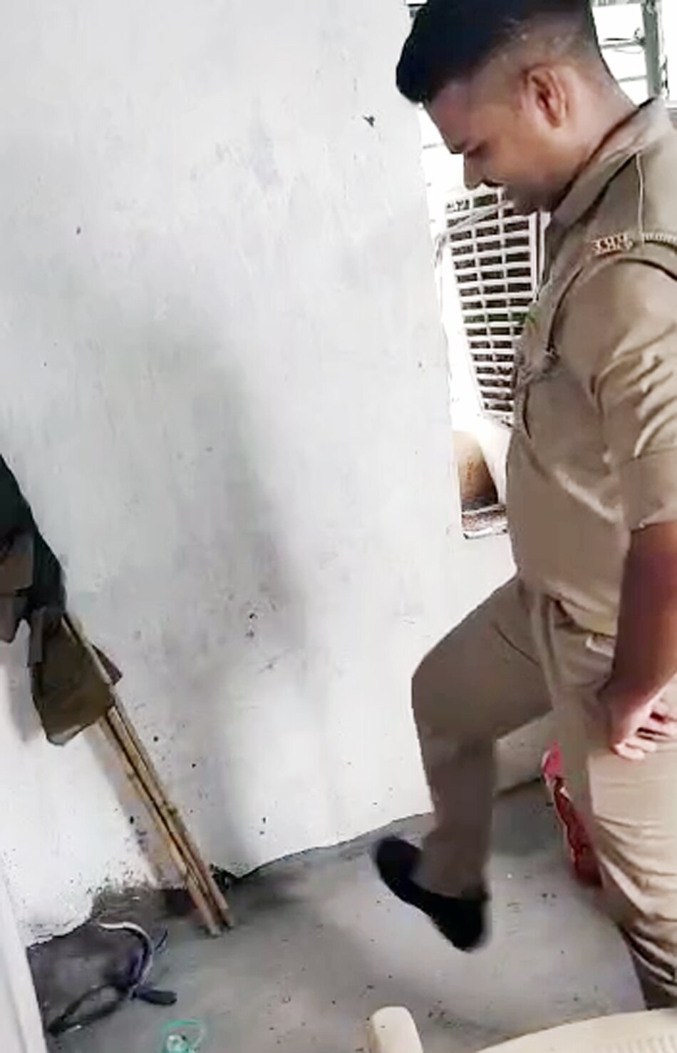 Snake entered the police post