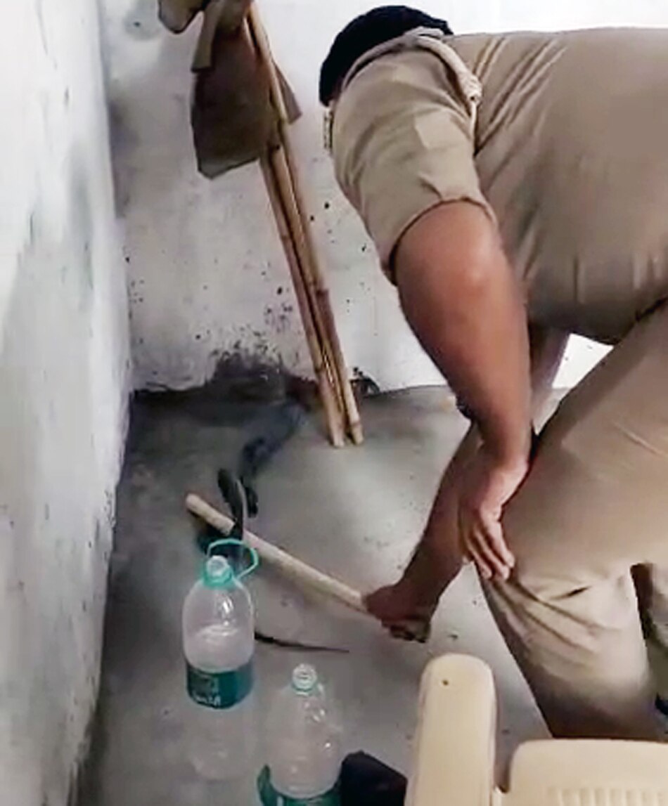 Snake entered the police post