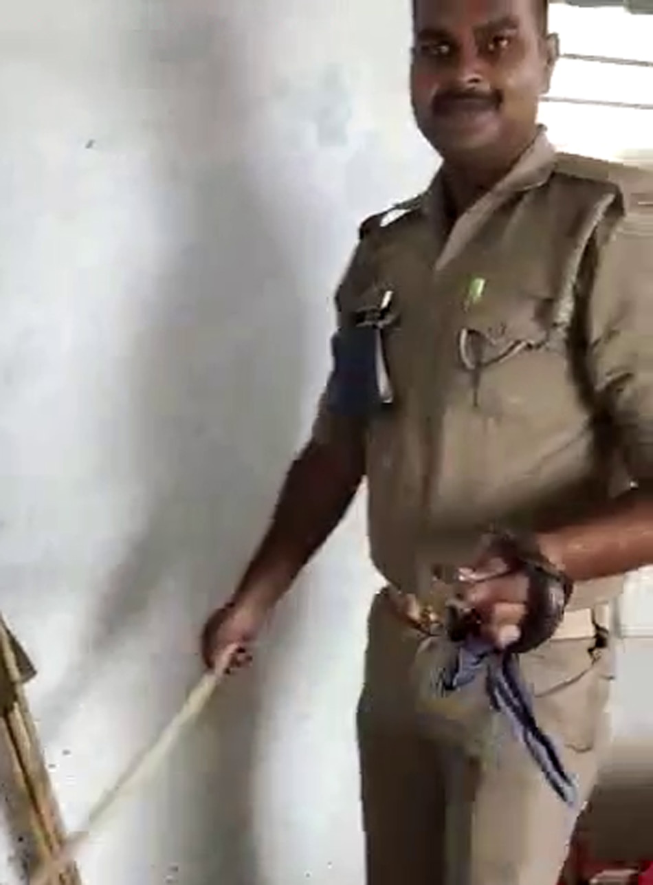 Snake entered the police post