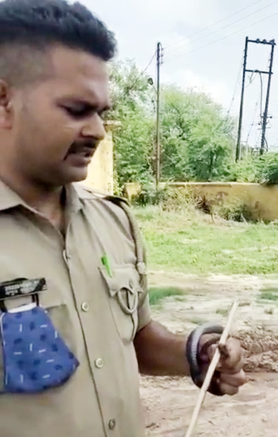 Snake entered the police post