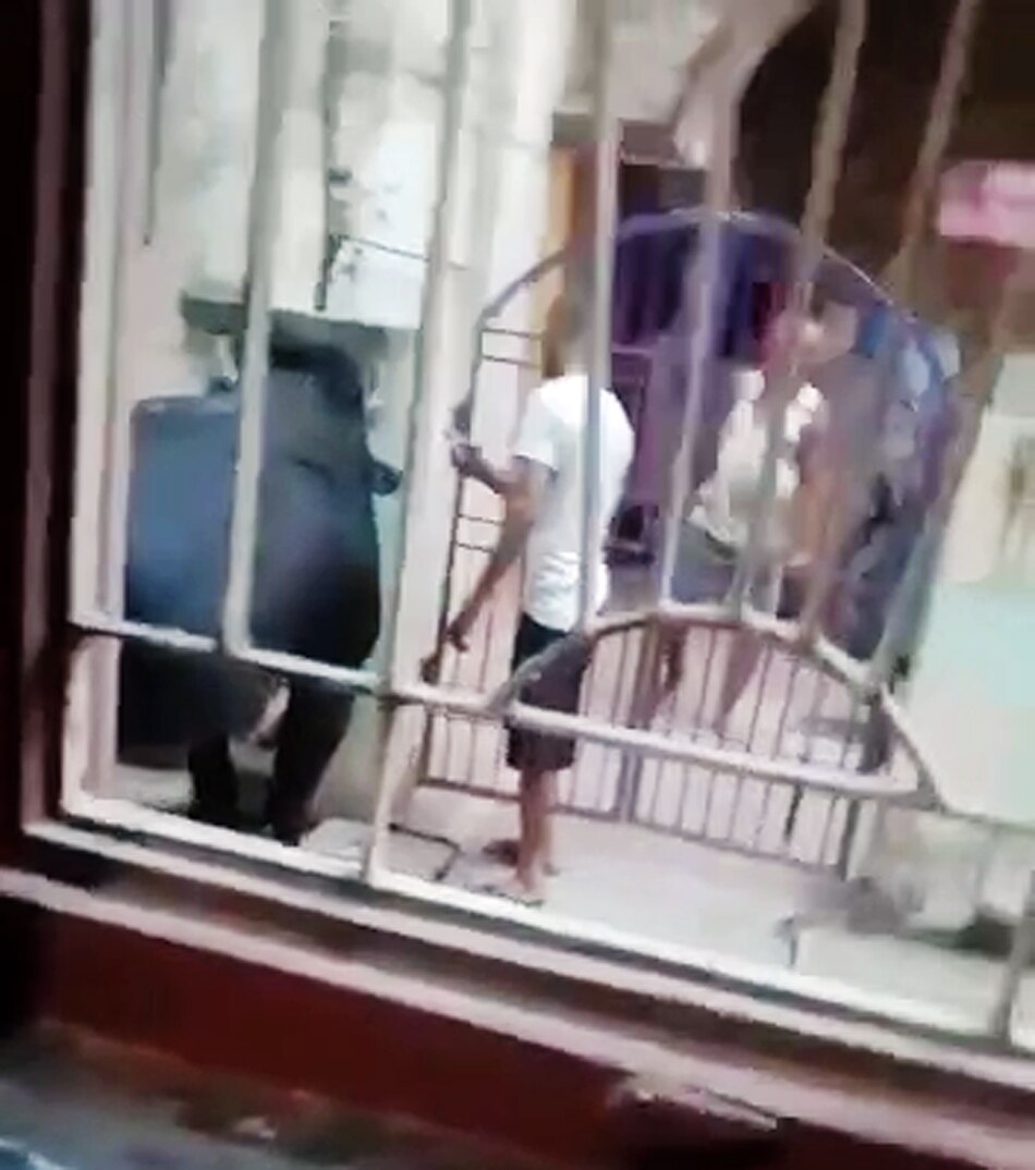 bull hitting young man 