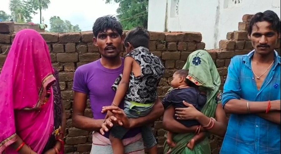 Family sitting on tree for 24 hours