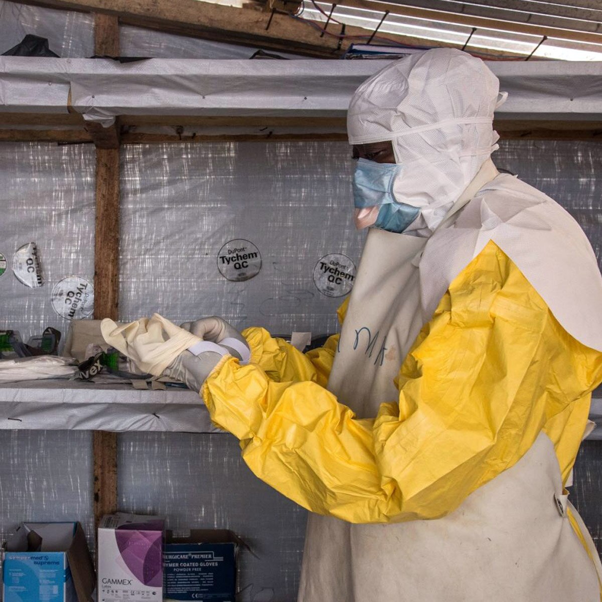 Ebola like virus marburg