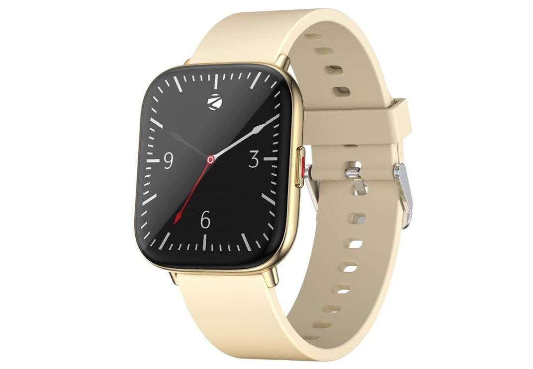 Zebronics Zeb-FIT5220CH