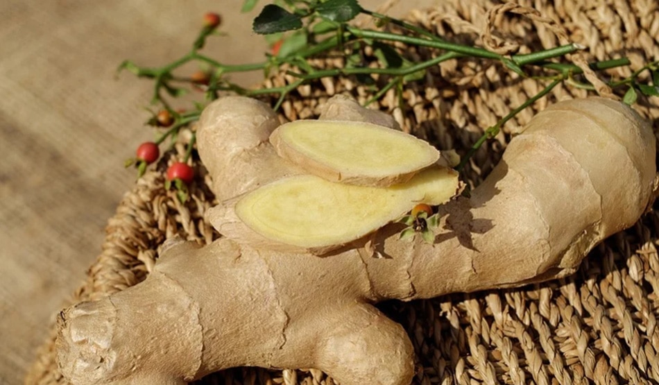 एंटी-ऑक्सीडेंट्स रिच फूड