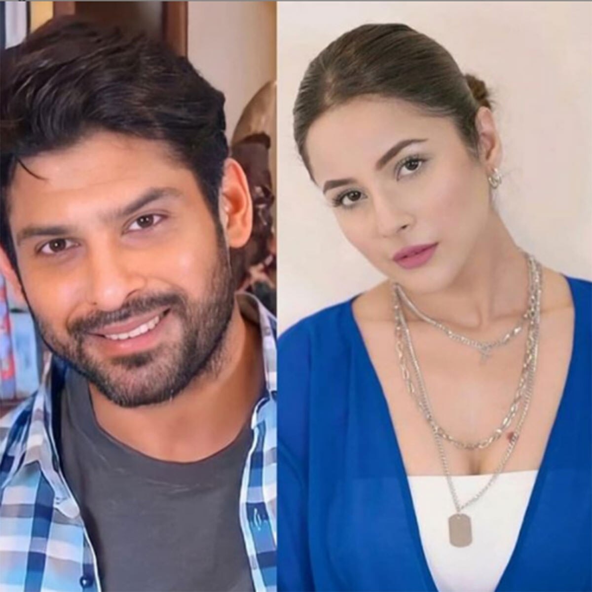 सिद्धार्थ शुक्ला, शहनाज गिल