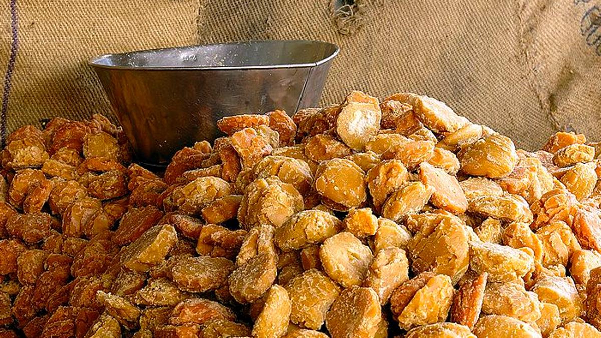 jaggery benefits 