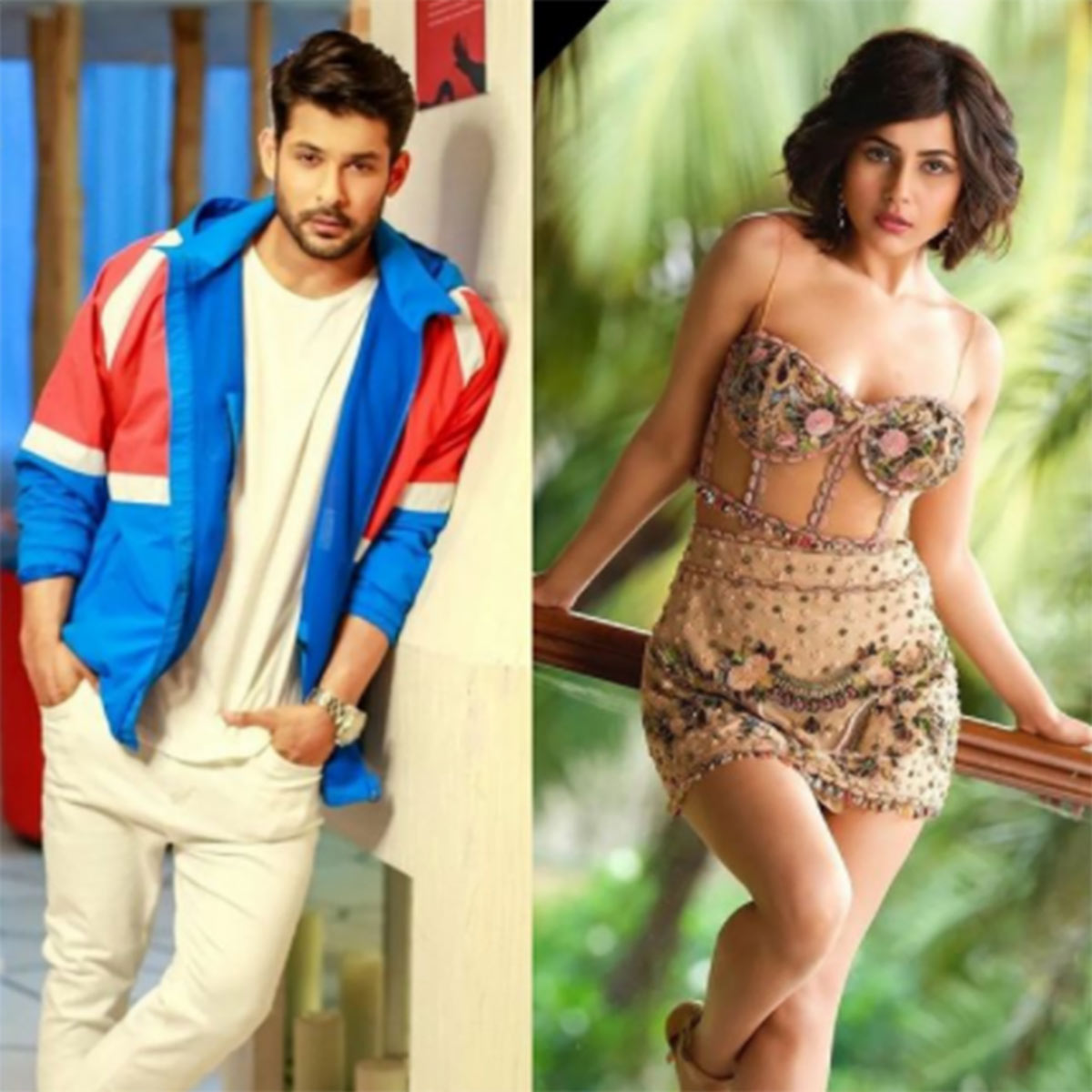 शहनाज और सिद्धार्थ शुक्ला 