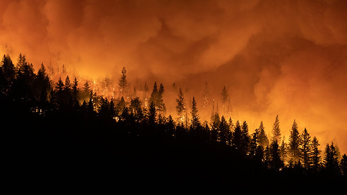 California Fire Alien Telescope