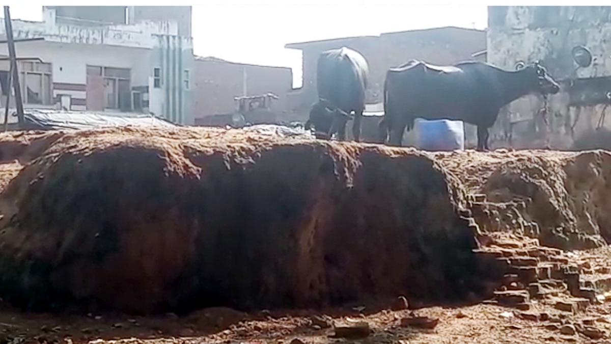 A mound of Meerut 2000 years old Mauryan secret Ashoka Pillar