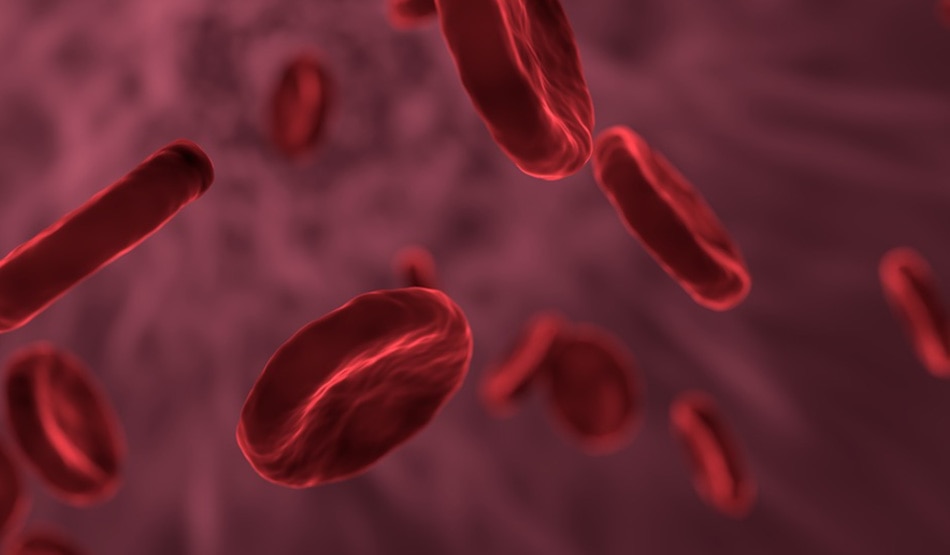 हीमोग्लोबिन