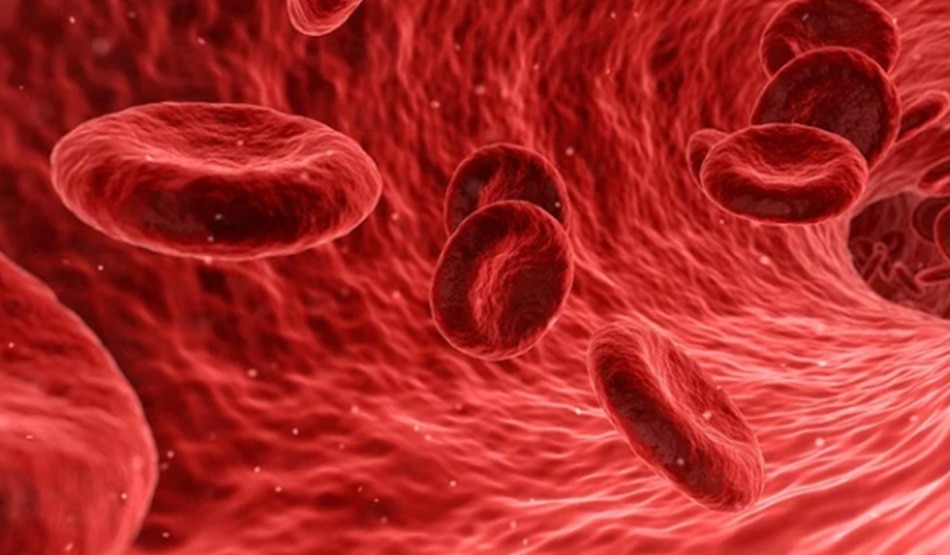 कोलेस्ट्रॉल को करे कम