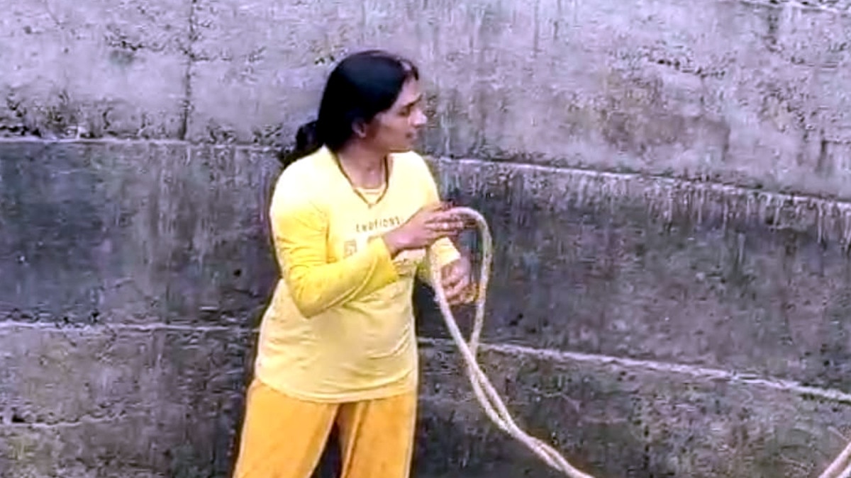 female rescued python