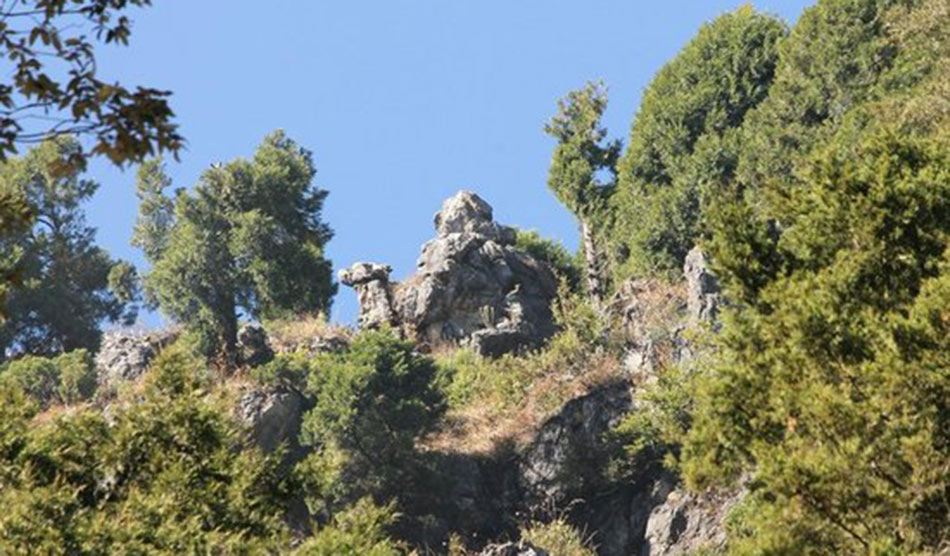 कैमल्स बैक रोड