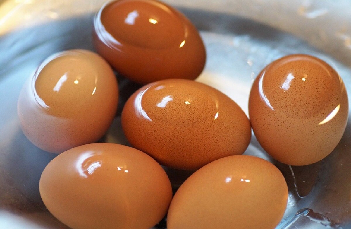 खाने की चीजोंं का क्वालिटी चेक