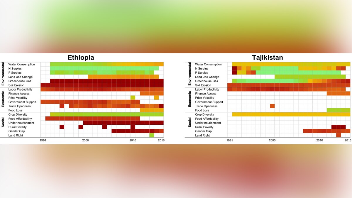 Sustainable Agriculture India
