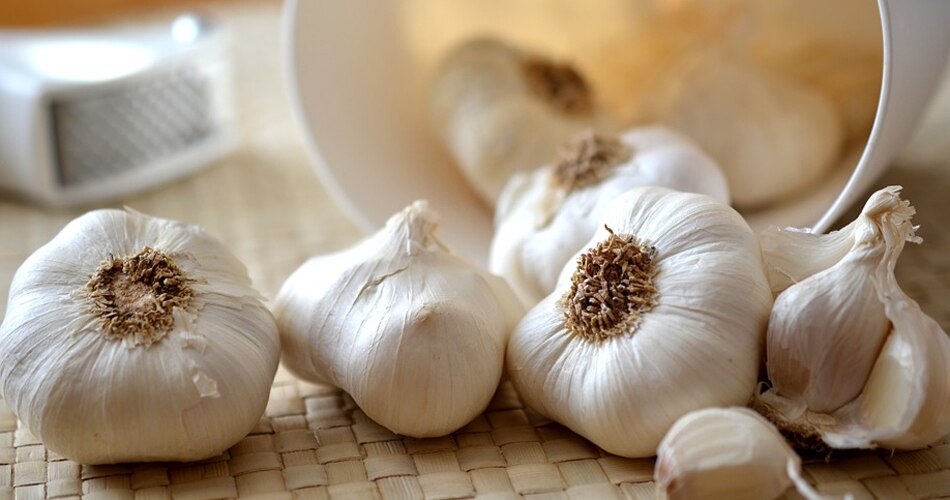 National Nutrition Week