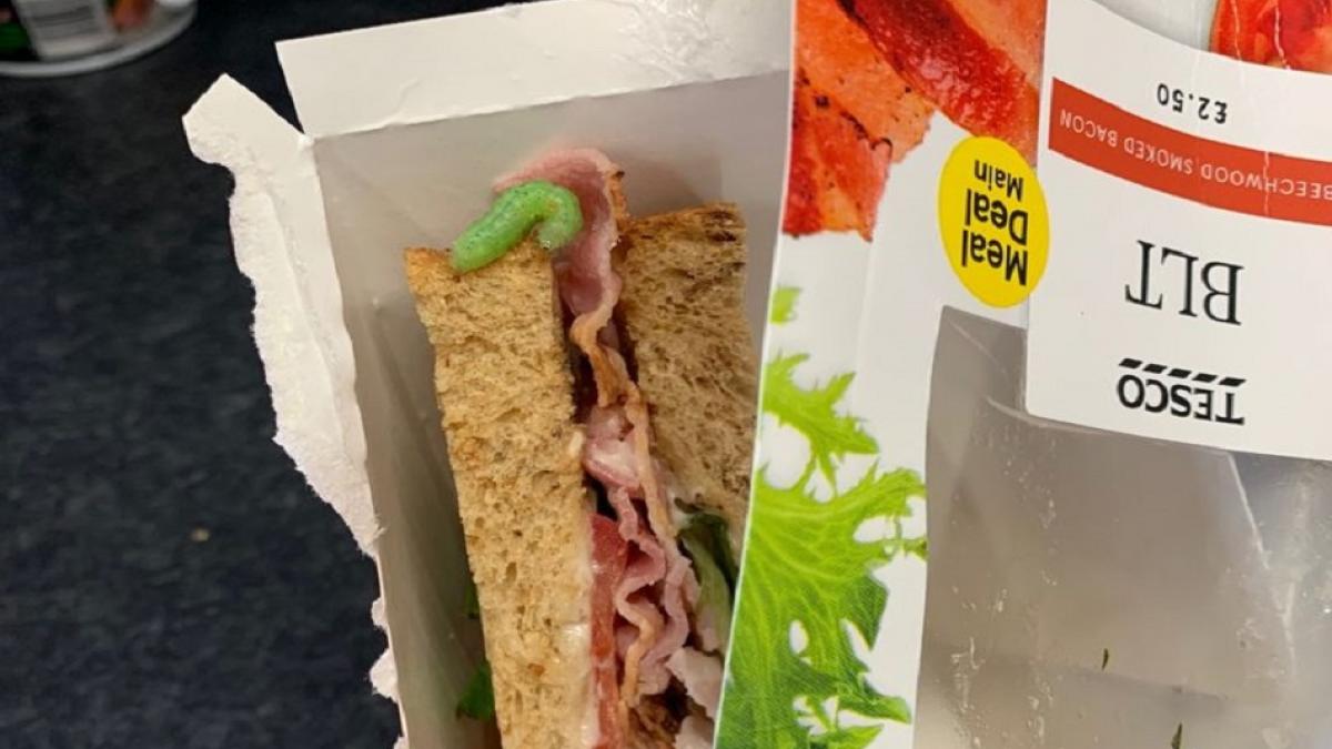 शख्स ने खरीदा सैंडिवच, पहली ही बाइट में रेंगता हुआ बाहर निकला बड़ा कीड़ा