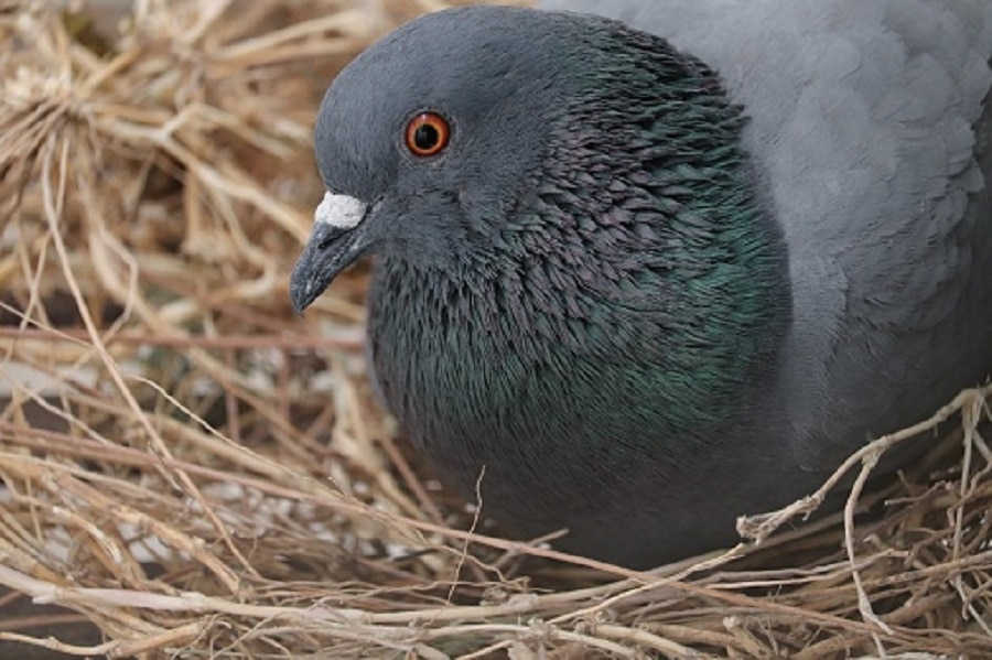 negative energy  in house