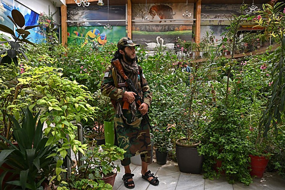 Talibani living in mansion