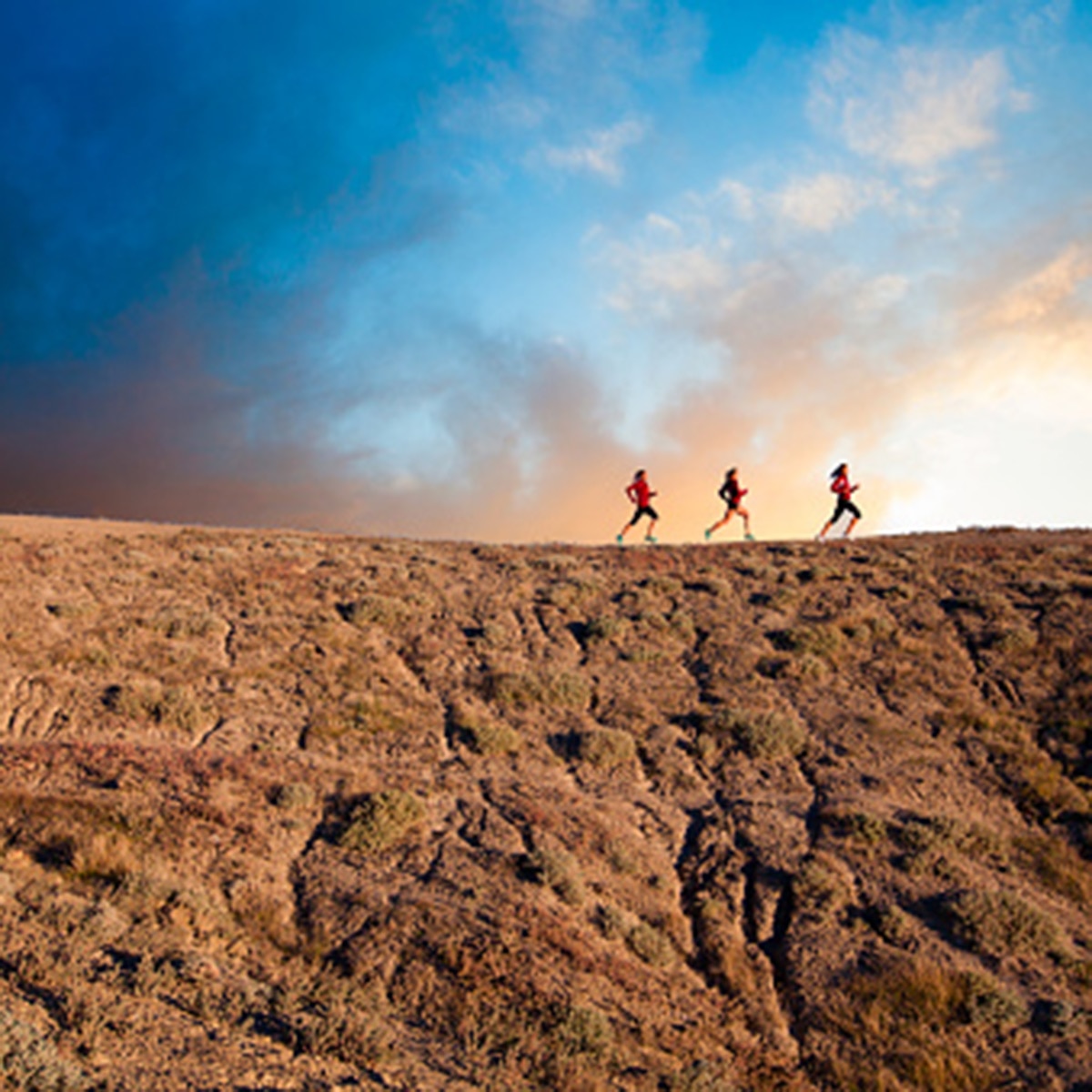 drunken friends race