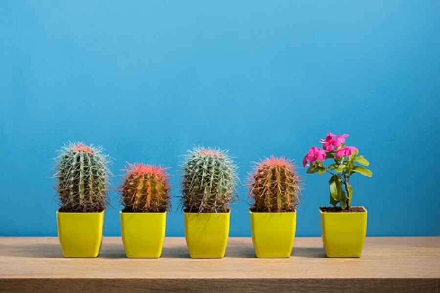 negative energy  in house