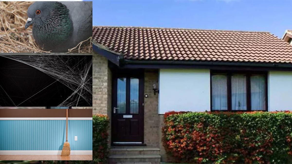 negative energy  in house