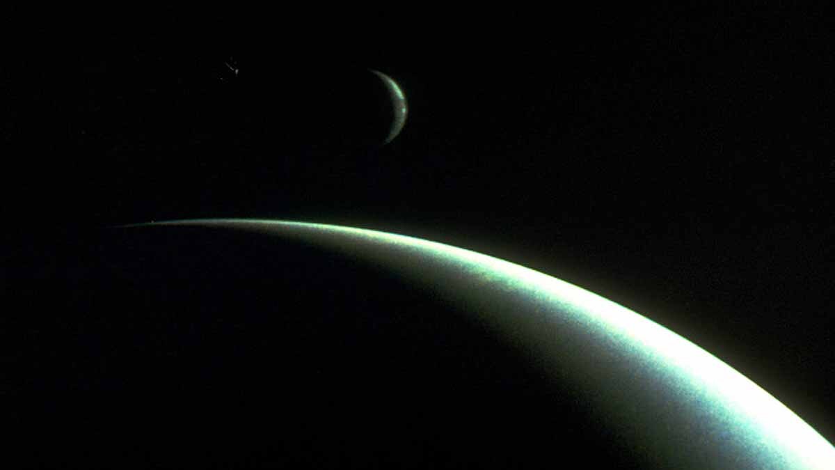 Hycean Planet Alien Life