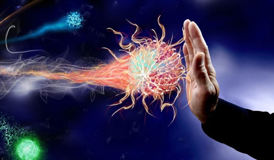 इम्यून सिस्टम