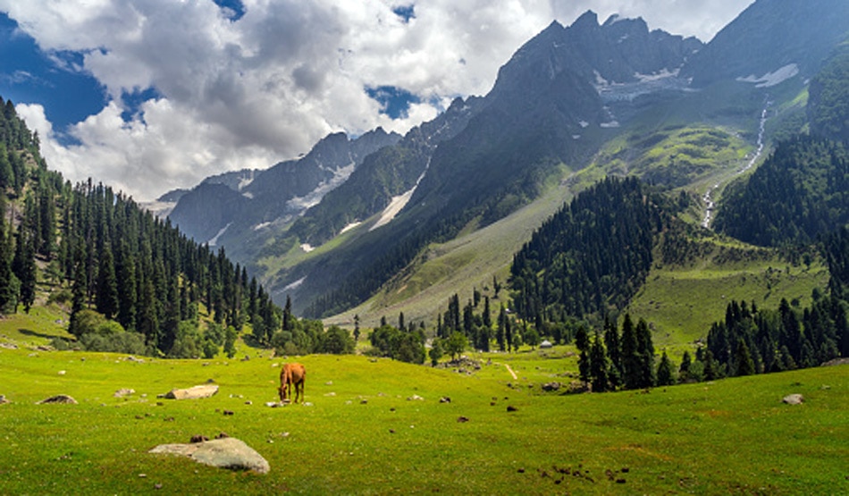 श्रीनगर से जम्मू20