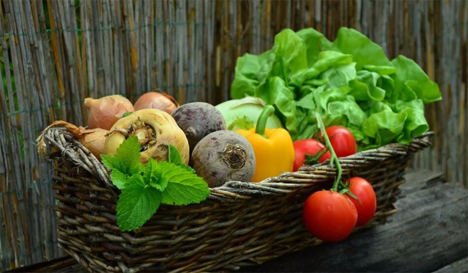 माइक्रोन्यूट्रिएंट्स10