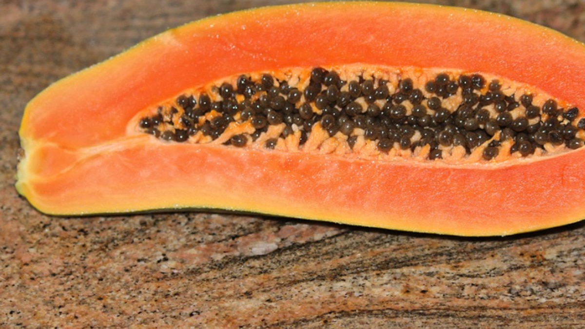 papaya seeds
