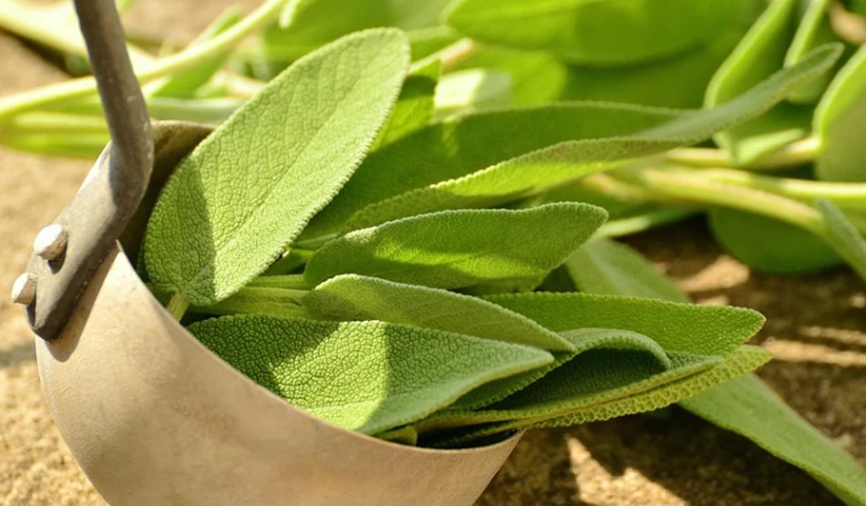 डायबिटीज2